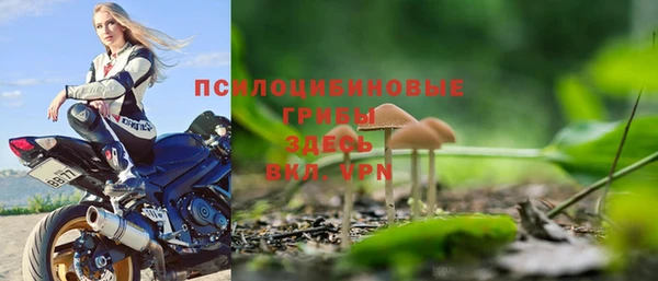 шишки Иннополис