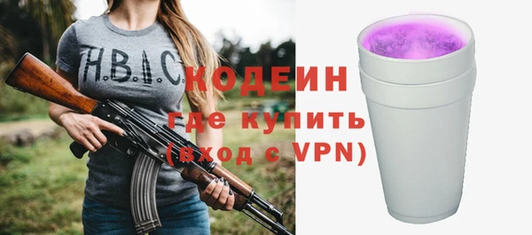 бошки Инта