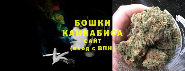 шишки Иннополис