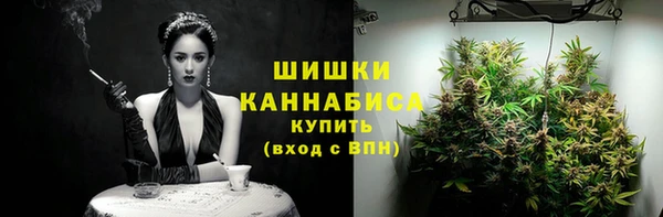 шишки Иннополис