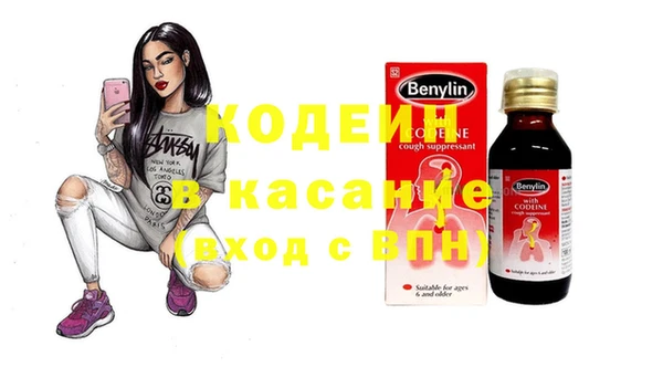 шишки Иннополис