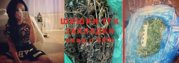 бошки Инта