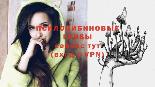 шишки Иннополис