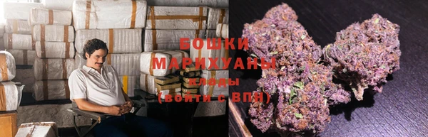 шишки Иннополис