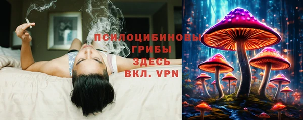 бошки Инта