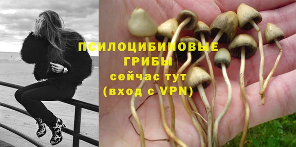 бошки Инта