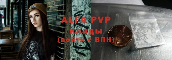 шишки Иннополис