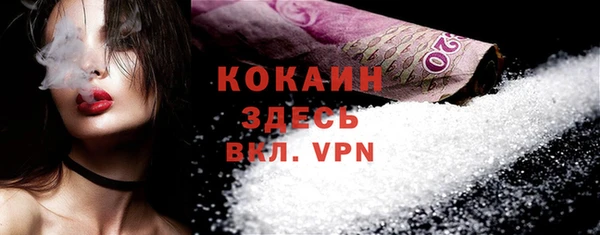 бошки Инта