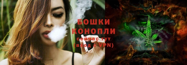 бошки Инта